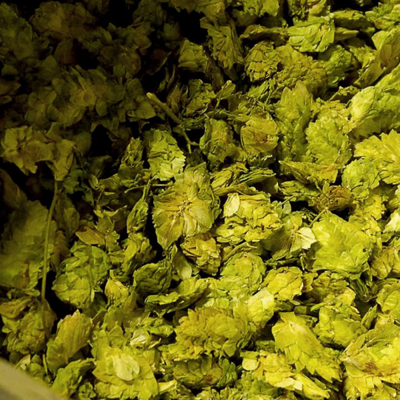 brasseurs-de-la-jonte-houblon